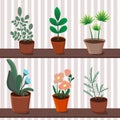 Indoor plants in pots. Flowers and leaves. Set of isolated elements. The concept of family values Ã¢â¬â¹Ã¢â¬â¹of home comfort Royalty Free Stock Photo